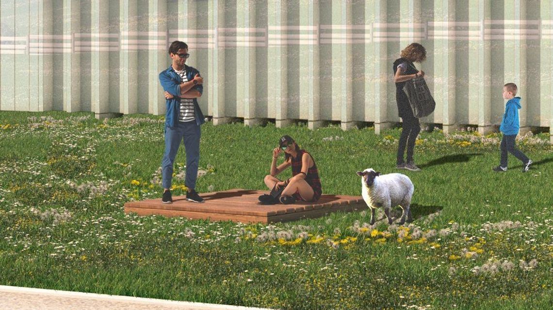 Drewniane dziki i żywe owce na górkach czechowskich? Mogą być też juhasi i baca