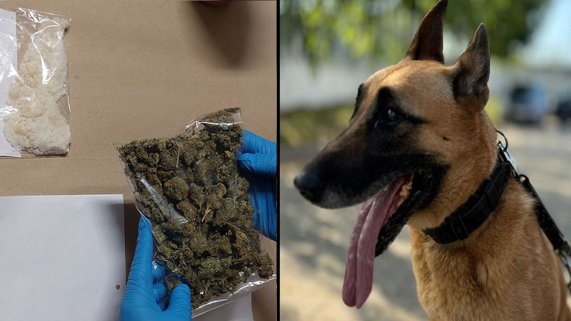 Drobny błąd młodego rowerzysty ściągnął na niego duże kłopoty