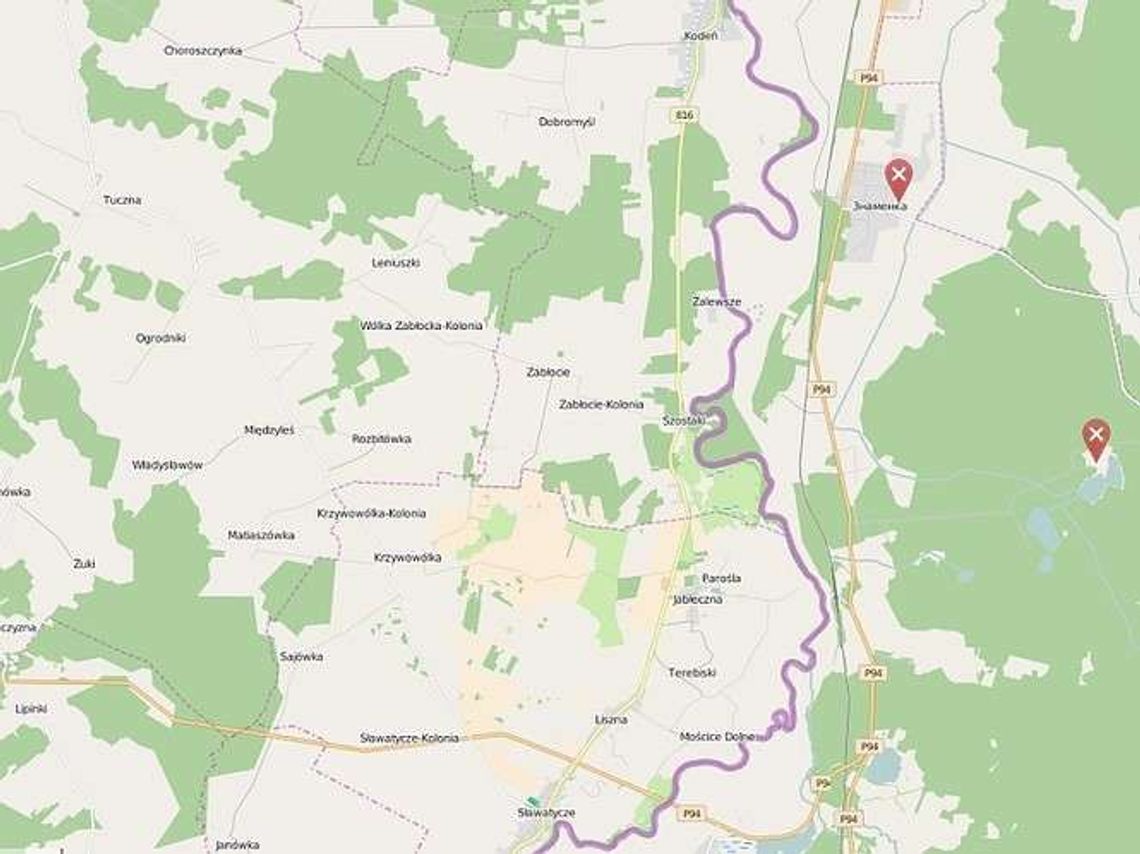 "Droga przypomina ser szwajcarski". Gmina Kodeń apeluje o natychmiastową przebudowę