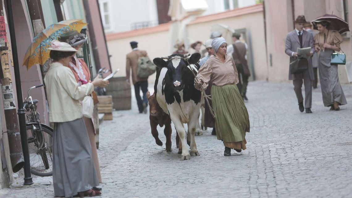 "Drogi Wolności": Kręcą serial na Starym Mieście. Zagrała nawet krowa [zdjęcia]