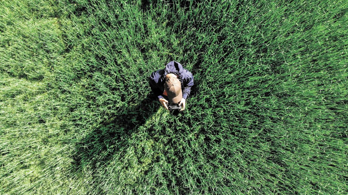 Dron pomoże rolnikom w Lubelskiem. Ułatwi zarządzanie pastwiskiem