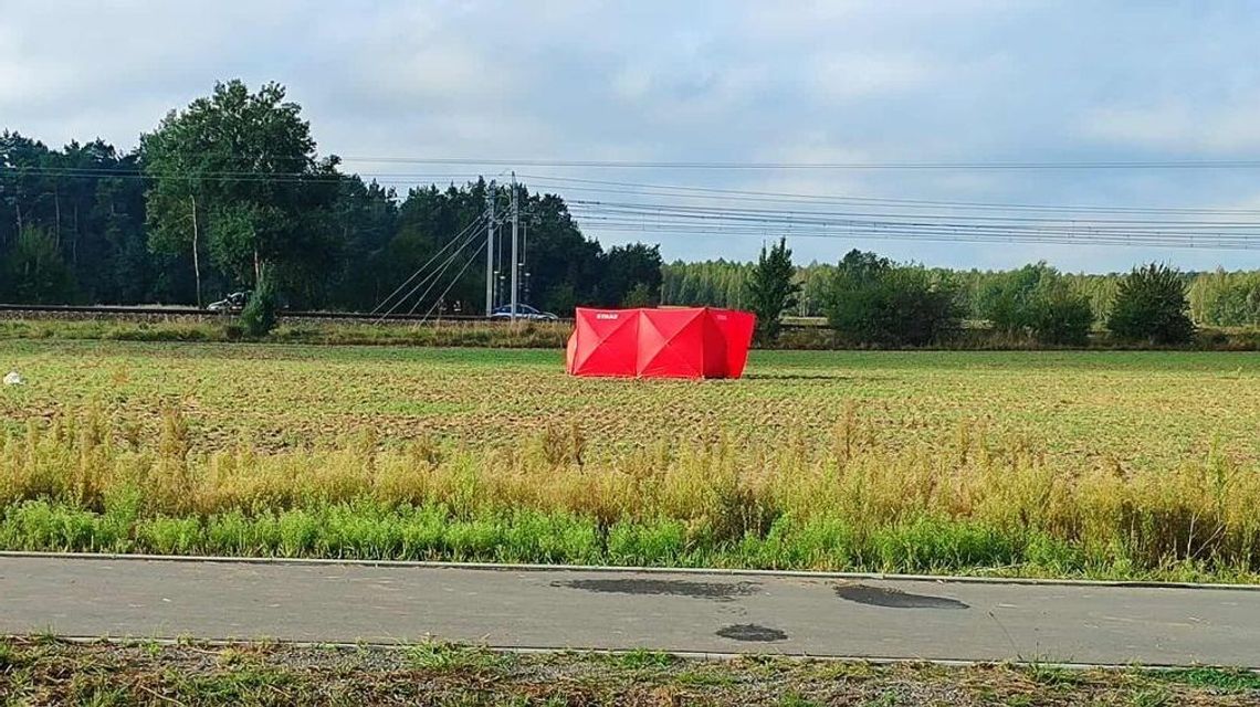 Dron znaleziony na drzewie. Na miejscu pracuje policja i żandarmeria wojskowa