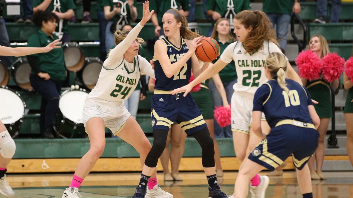 Druga Amerykanka dołącza do Pszczółki Polski Cukier. To potomkini Wilhelma Zdobywcy Druga Amerykanka dołącza do Pszczółki Polski Cukier. To potomkini Wilhelma Zdobywcy