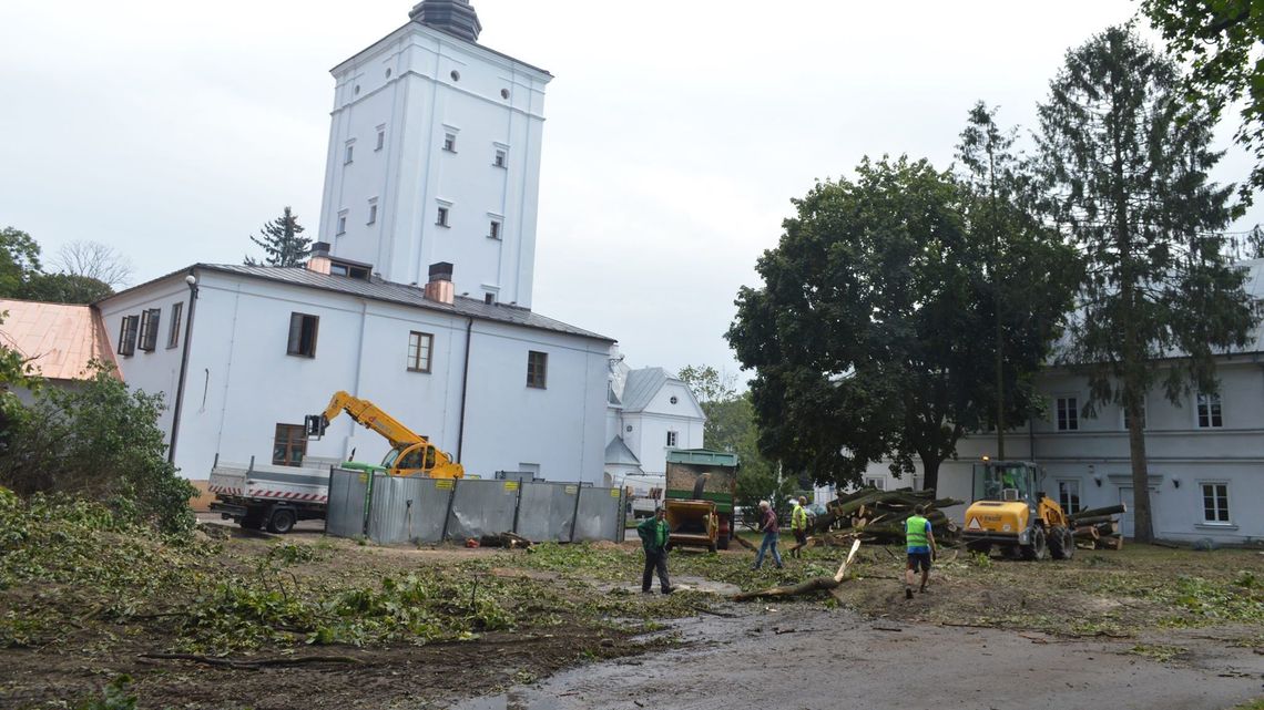 Drzewa przegrały z fortyfikacjami. Wycinka w Parku Radziwiłłowskim w Białej Podlaskiej Drzewa przegrały z fortyfikacjami. Wycinka w Parku Radziwiłłowskim w Białej Podlaskiej