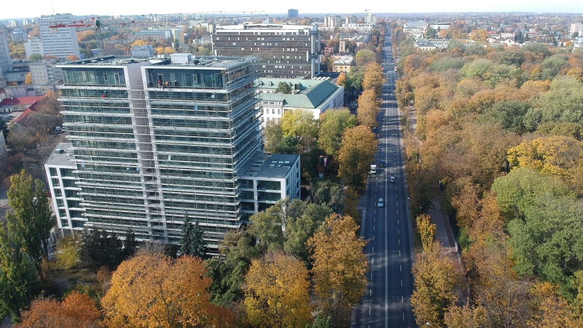Drzewa przy Alejach Racławickich w Lublinie czekają na wyrok. Zdecyduje sąd Drzewa przy Alejach Racławickich w Lublinie czekają na wyrok. Zdecyduje sąd