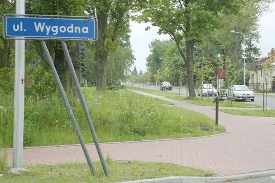 Drzewa przy zamkniętym torze? Ratusz się wycofał Drzewa przy zamkniętym torze? Ratusz się wycofał
