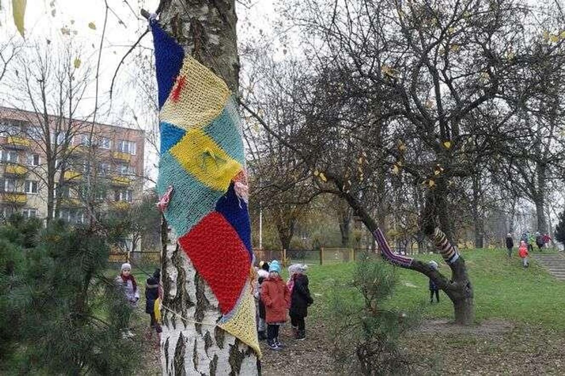 Drzewa w szalikach. Bombardowanie włóczką trwa