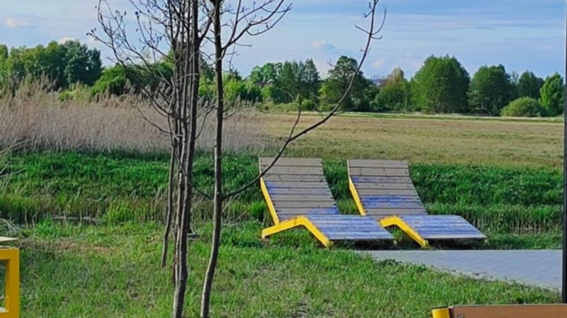 Drzewka przy tężni uschły już w ubiegłym roku. Urzędnicy wiedzieli, ale czekali na ... Drzewka przy tężni uschły już w ubiegłym roku. Urzędnicy wiedzieli, ale czekali na ...