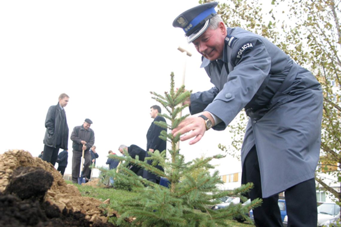 Drzewka zostały zasadzone Drzewka zostały zasadzone