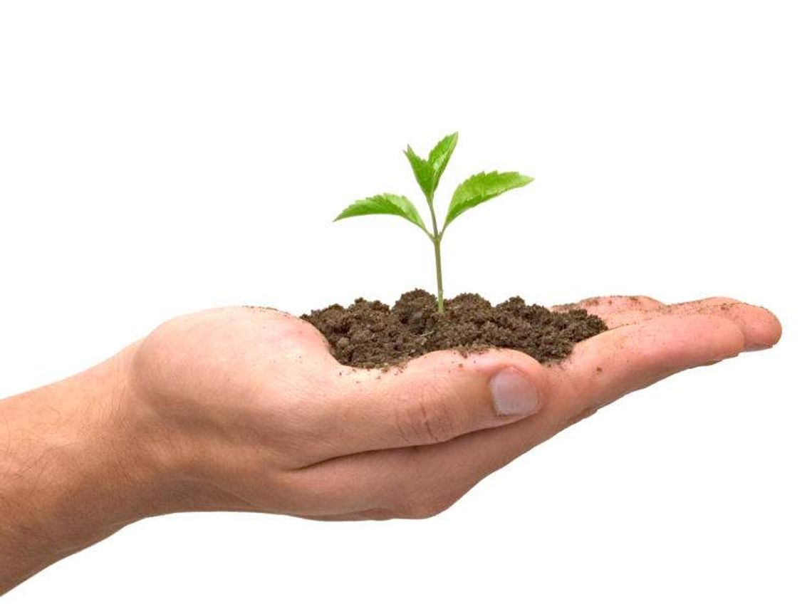 "Drzewko za Butelkę. Rozdano 2000 drzewek