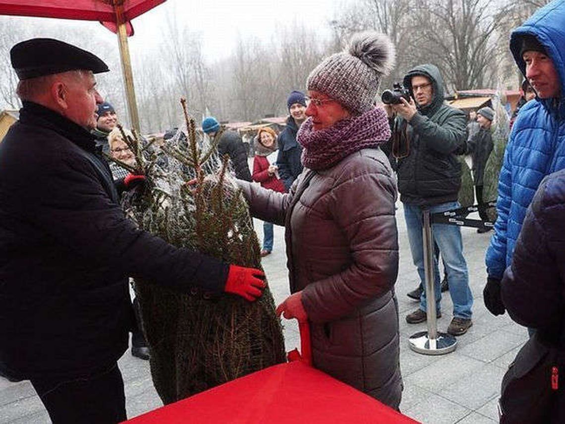 Drzewko za dary. Marszałek rozdawał choinki na placu przy CSK Drzewko za dary. Marszałek rozdawał choinki na placu przy CSK