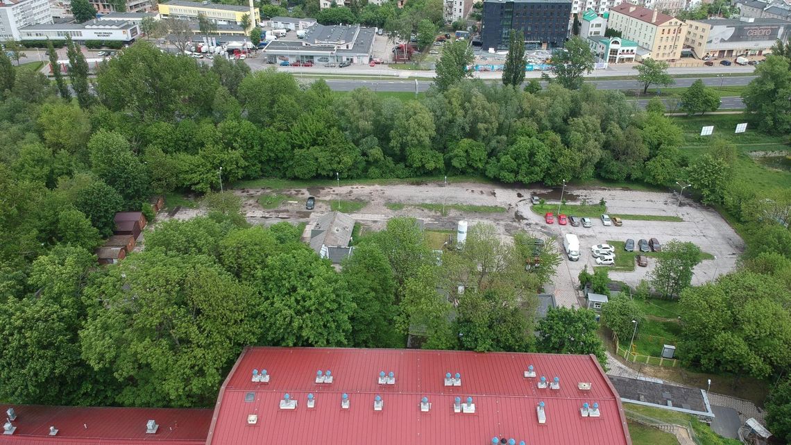 Duża inwestycja w centrum Lublina, 165 drzew do wycięcia Duża inwestycja w centrum Lublina, 165 drzew do wycięcia