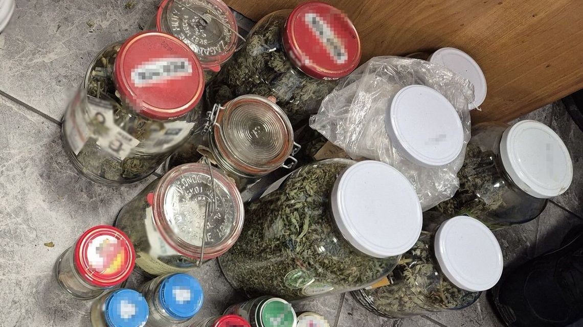 Duże ilości marihuany przechowywał w domu Duże ilości marihuany przechowywał w domu