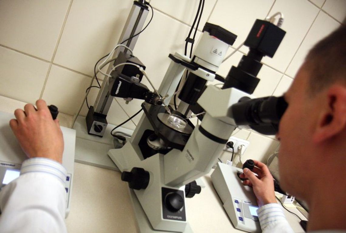 Duże zainteresowanie refundacją in vitro w Lublinie Duże zainteresowanie refundacją in vitro w Lublinie