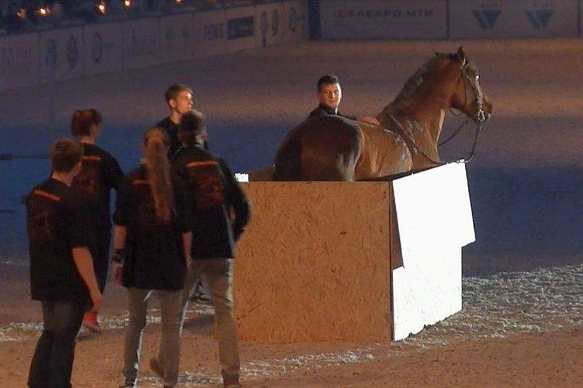 Dużo rozrywki na Cavaliadzie: Wyścigi, pokazy, zabawa (wideo)