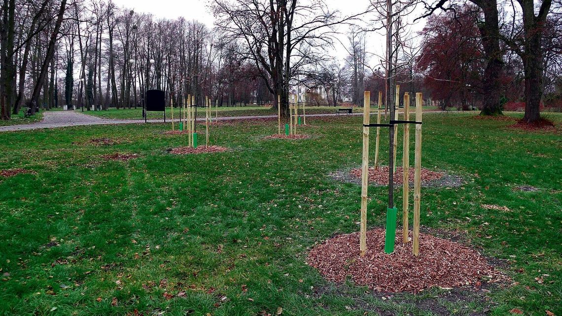 Dużo zmian w Parku Miejskim w Opolu Lubelskim. Już nie zmokniesz na widowni