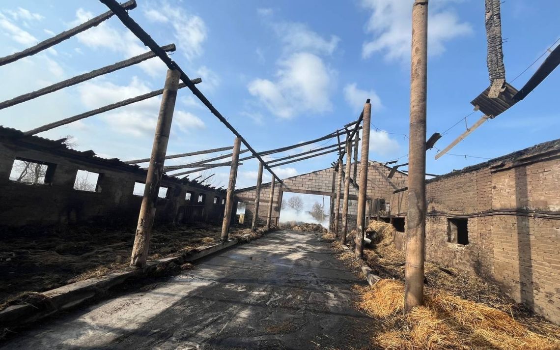 Dwanaście godzin walki i popiół z nadziei. Zawadówka jednoczy się po wielkim pożarze Dwanaście godzin walki i popiół z nadziei. Zawadówka jednoczy się po wielkim pożarze