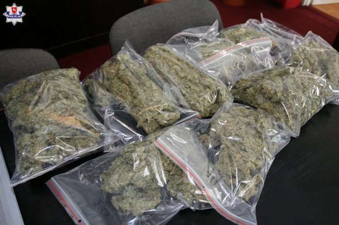 Dwóch lublinian wracało z podróży do Holandii. Pies wytropił co wieźli [wideo]