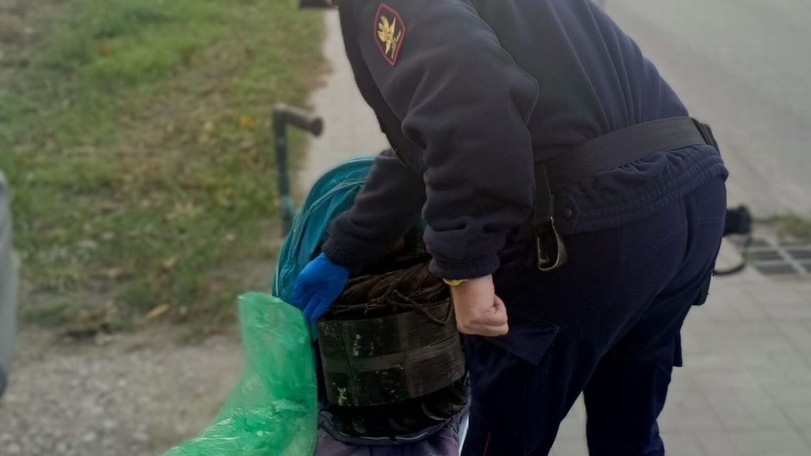 Dwóch mężczyzn z dziecięcym wózkiem, a w środku... niespodzianka