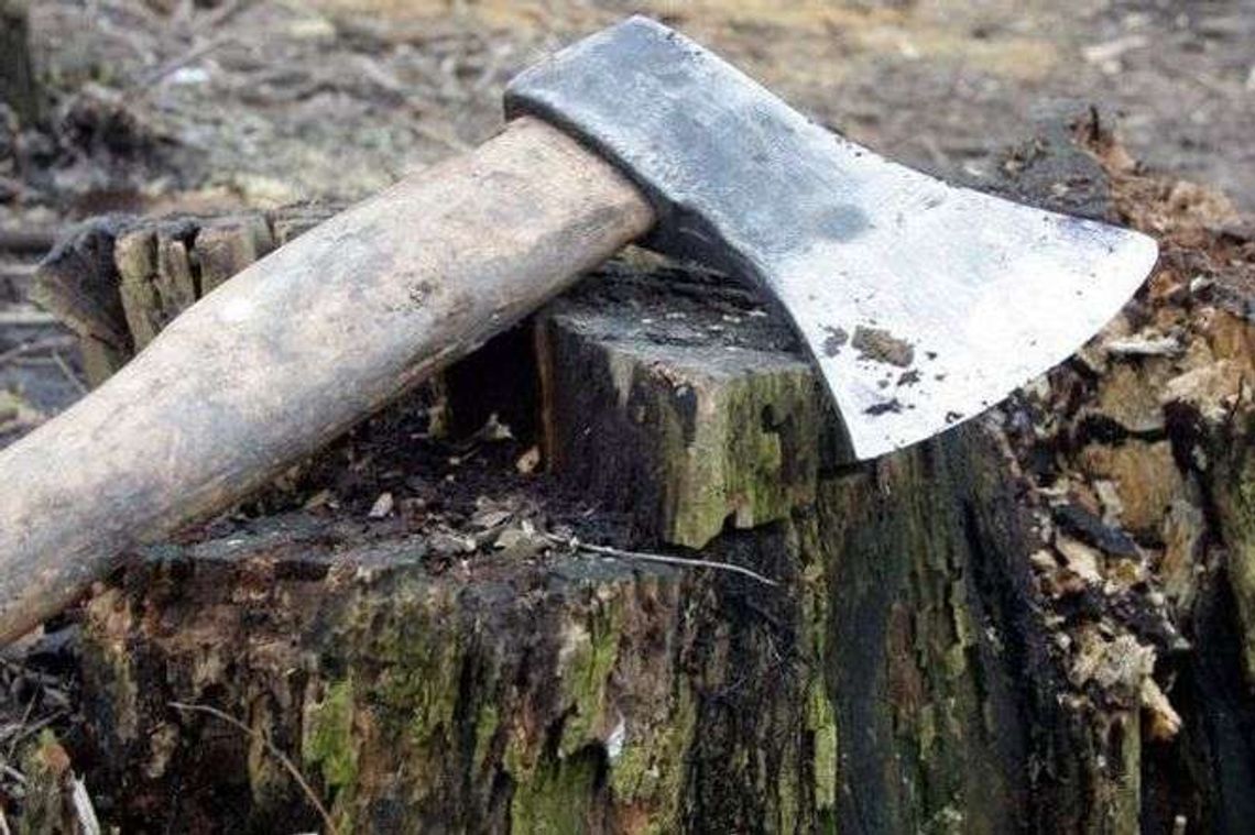 Dwóch pijanych przy wycince. To nie mogło skończyć się dobrze Dwóch pijanych przy wycince. To nie mogło skończyć się dobrze