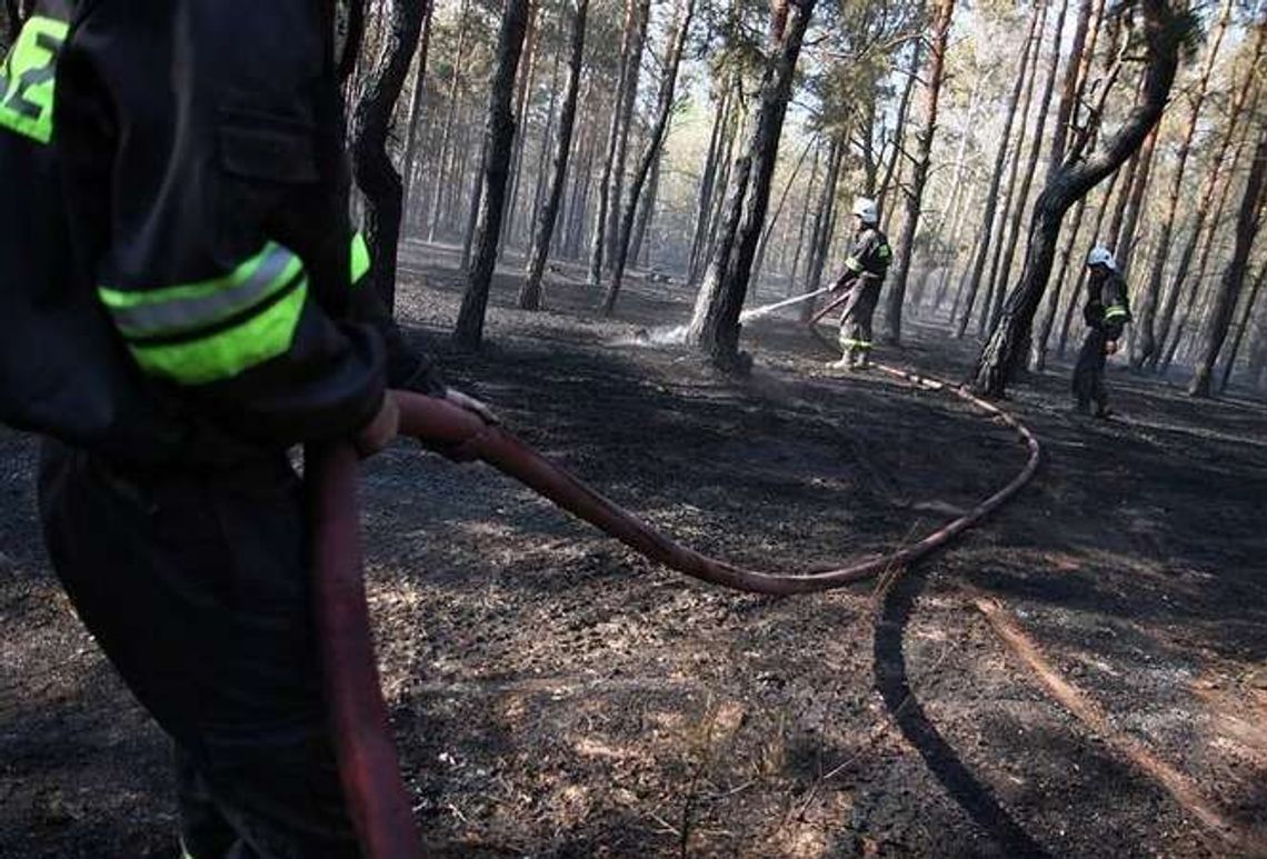 Dymy nad regionem. Aż 166 pożarów lasów w tym miesiącu