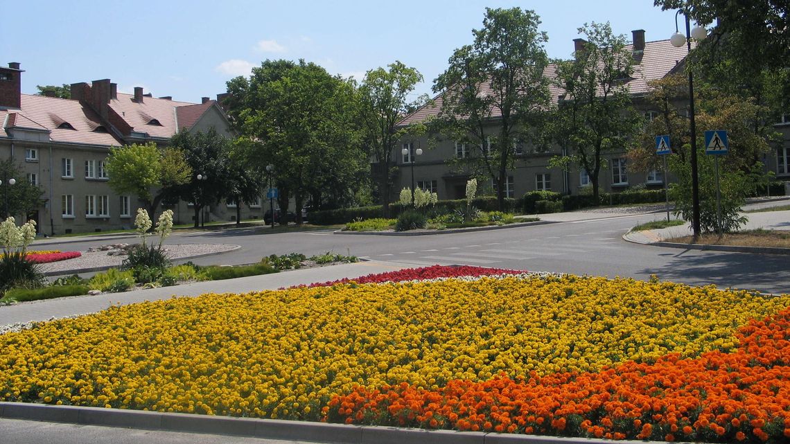 „Dyrekcja”. Klimatyczne miasto w mieście. Reportaż o niezwykłym osiedlu