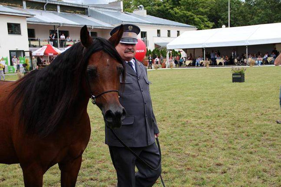 Dyrektor stadniny koni w Janowie Podlaskim: "Sprzedajemy prawdziwe piękno"