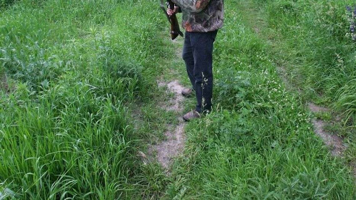 Dziadek odstraszał ptaki. Postrzelił wnuczkę