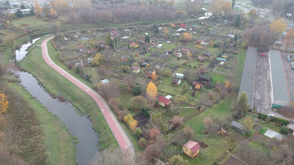 Działkowcy w Lublinie planują inwestycje. Ratusz szykuje milion złotych do podziału