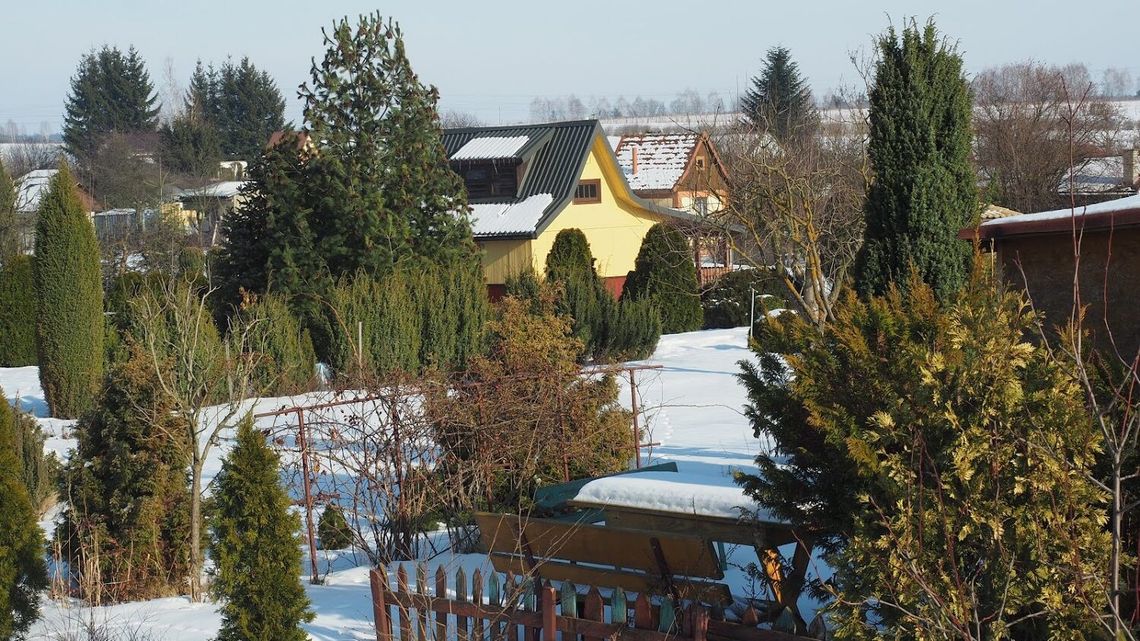 Działkowcy walczą o dotacje z miasta. Wnioski na ponad 2 miliony złotych Działkowcy walczą o dotacje z miasta. Wnioski na ponad 2 miliony złotych