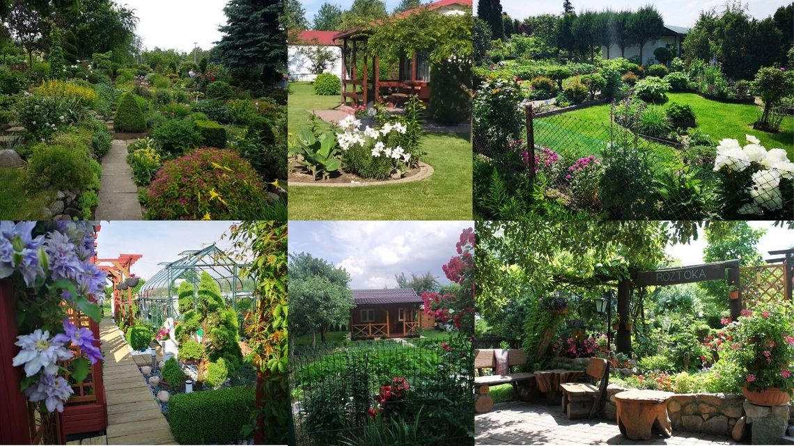 Działkowiec Roku 2020. Głosowanie zakończone