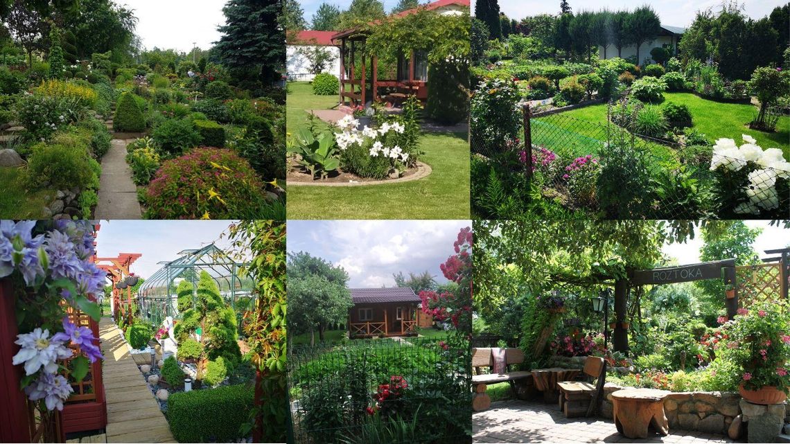 Działkowiec Roku 2020. Kategoria Najpiękniejszy Rodzinny Ogród Działkowy