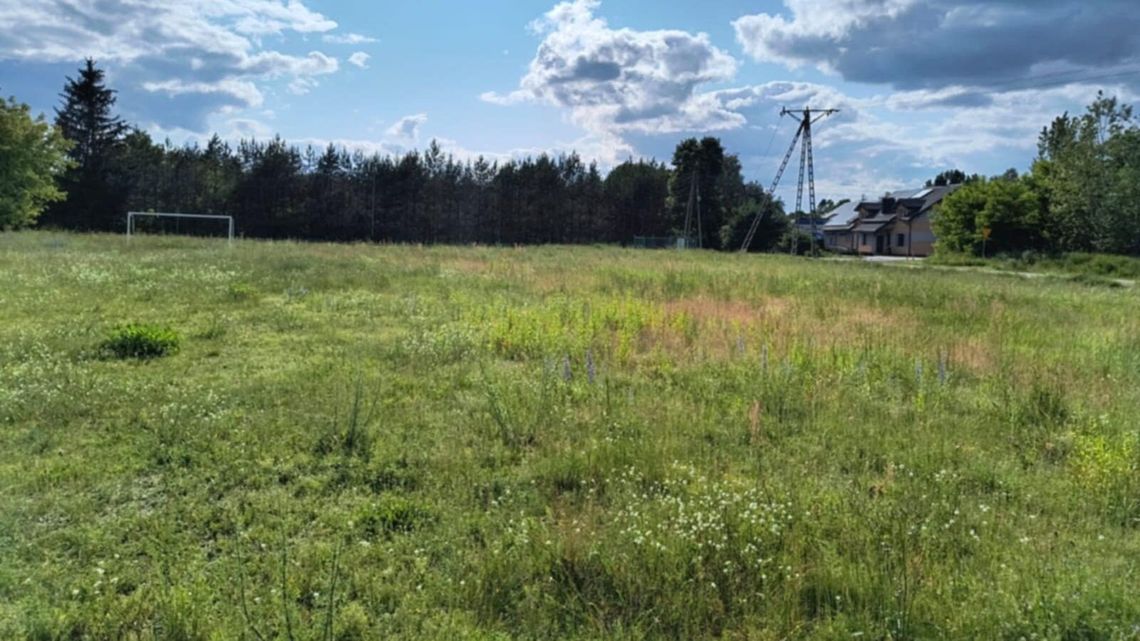 Dzieci chcą grać, a boisko zarasta. Jest apel radnego 