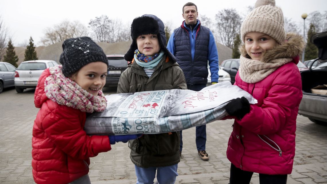 Dzieci odwiedziły schronisko dla zwierząt w Lublinie. Pomoc i edukacja