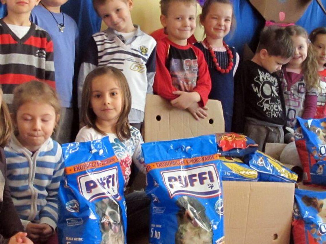 Dzieciaki dokarmiają zwierzaki: Ponad 150 kg karmy od przedszkolaków dla bezpańskich psów