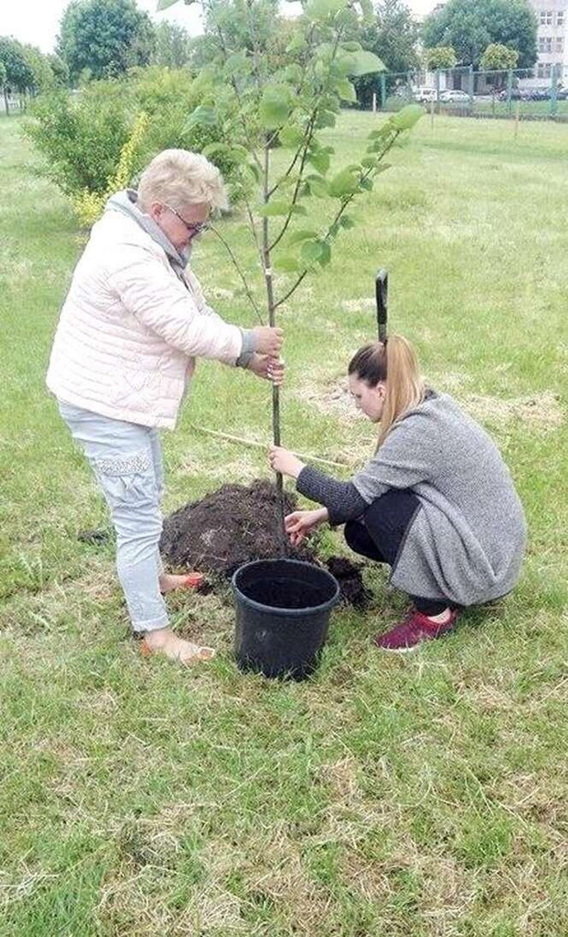 "Dzięki tej akcji Chełm będzie jeszcze piękniejszy". Każdy może posadzić swoje drzewo
