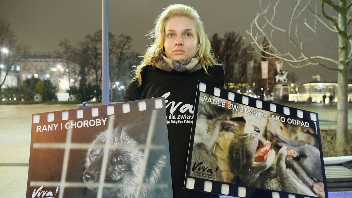 Dzień Bez Futra w Lublinie. Na pomoc lisom, szynszylom, jenotom [zdjęcia]