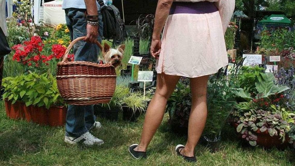 Dzień Drzwi Otwartych w LODR w Końskowoli. Zagra Future Folk [program]