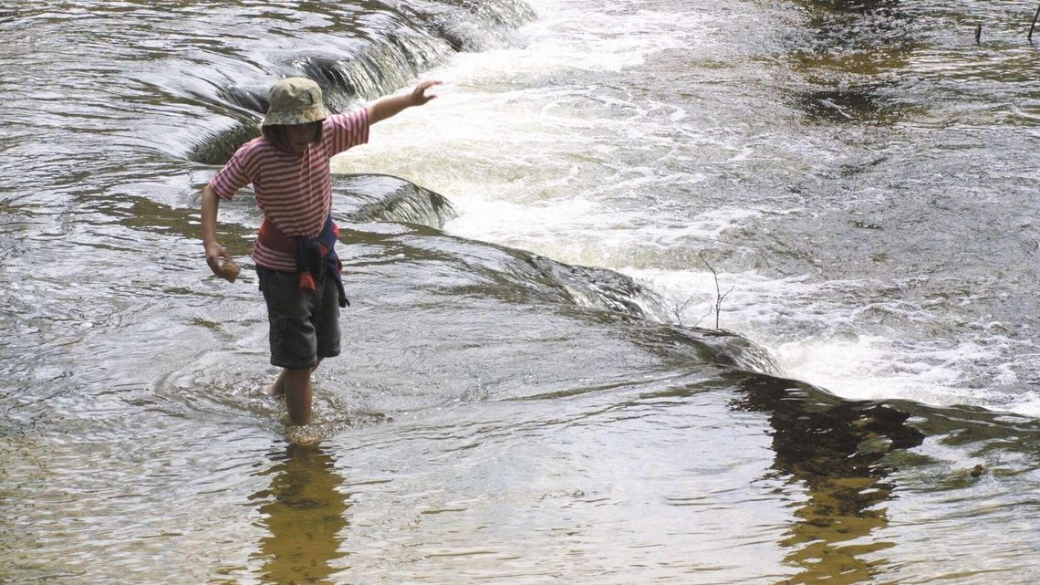 Dzień otwarty w Roztoczańskim Parku Narodowym Dzień otwarty w Roztoczańskim Parku Narodowym