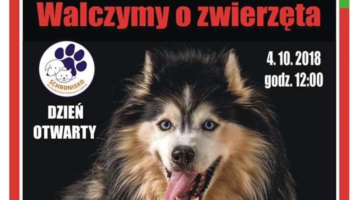 Dzień Otwarty w Schronisku dla Bezdomnych Zwierząt w Lublinie