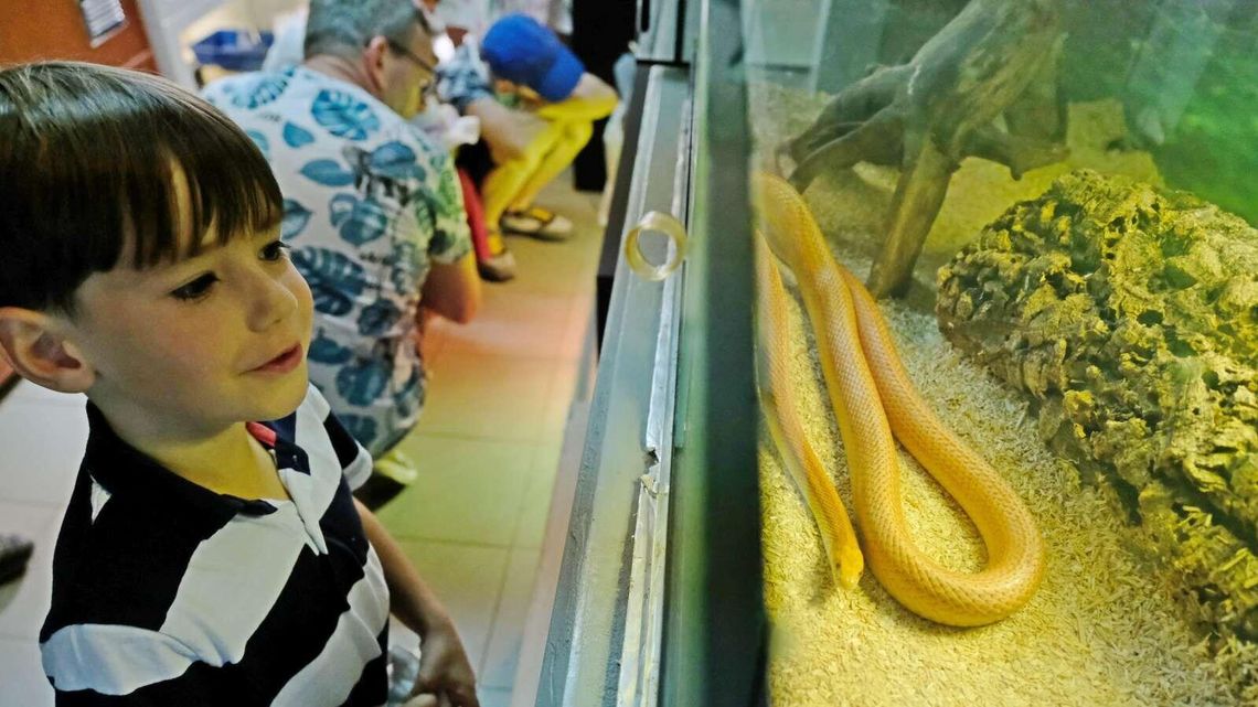 Dzień otwarty w schronisku. Uratowane gady