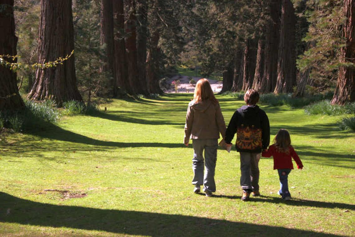 Dzień Rodzicielstwa Zastępczego w Puławach