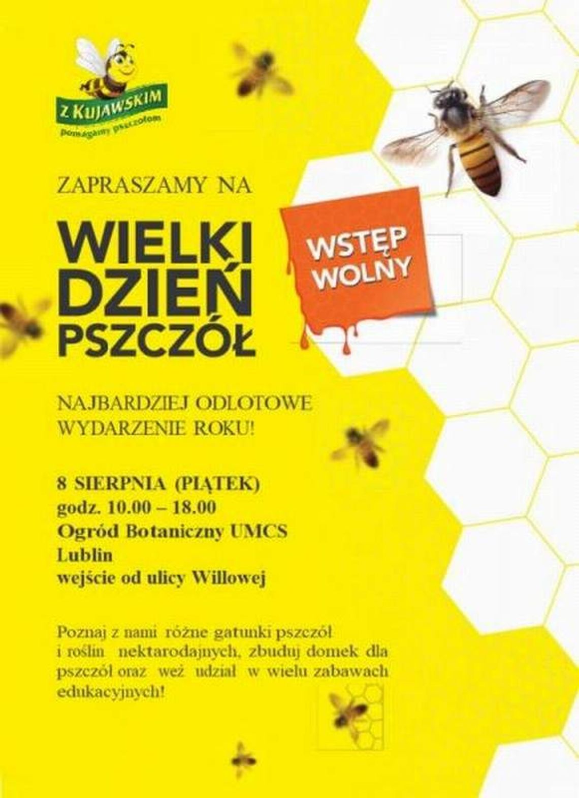 Dzień z pszczołami w Lublinie i na Roztoczu