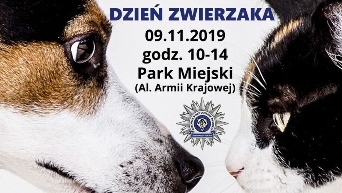 Dzień Zwierzaka w Parku Miejskim w Chełmie