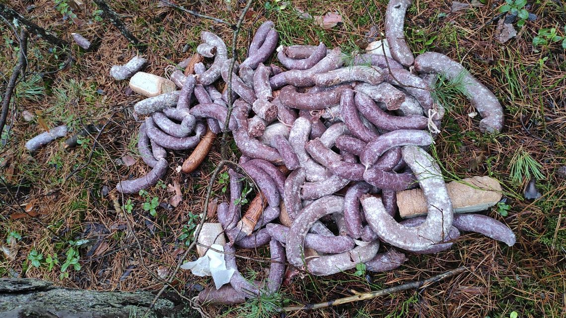 Dziesiątki kilogramów gnijących wędlin w lesie. Fetor czuć w okolicy, szukają sprawcy