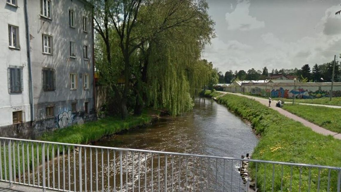 Dziesiątki obumarłych ryb w Krznie