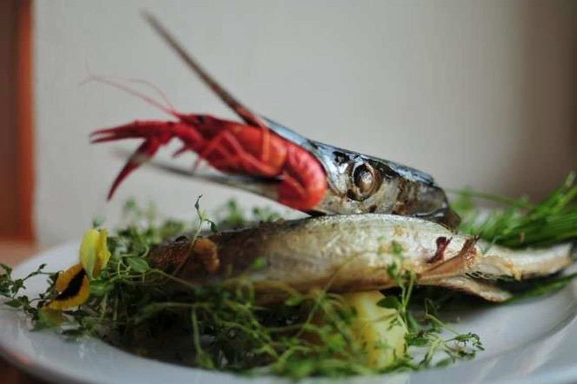 Dziesięciu najciekawszych szefów kuchni 2016 w Lublinie i regionie Dziesięciu najciekawszych szefów kuchni 2016 w Lublinie i regionie