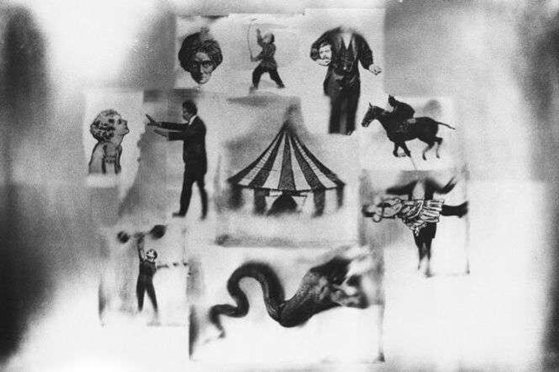 Dziki Lublin: Arabi, Chińczycy i dzieci w kieszeni