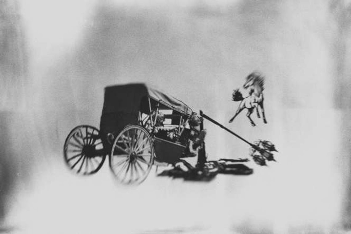 Dziki Lublin: Dwie opowieści o wypadku hrabiny