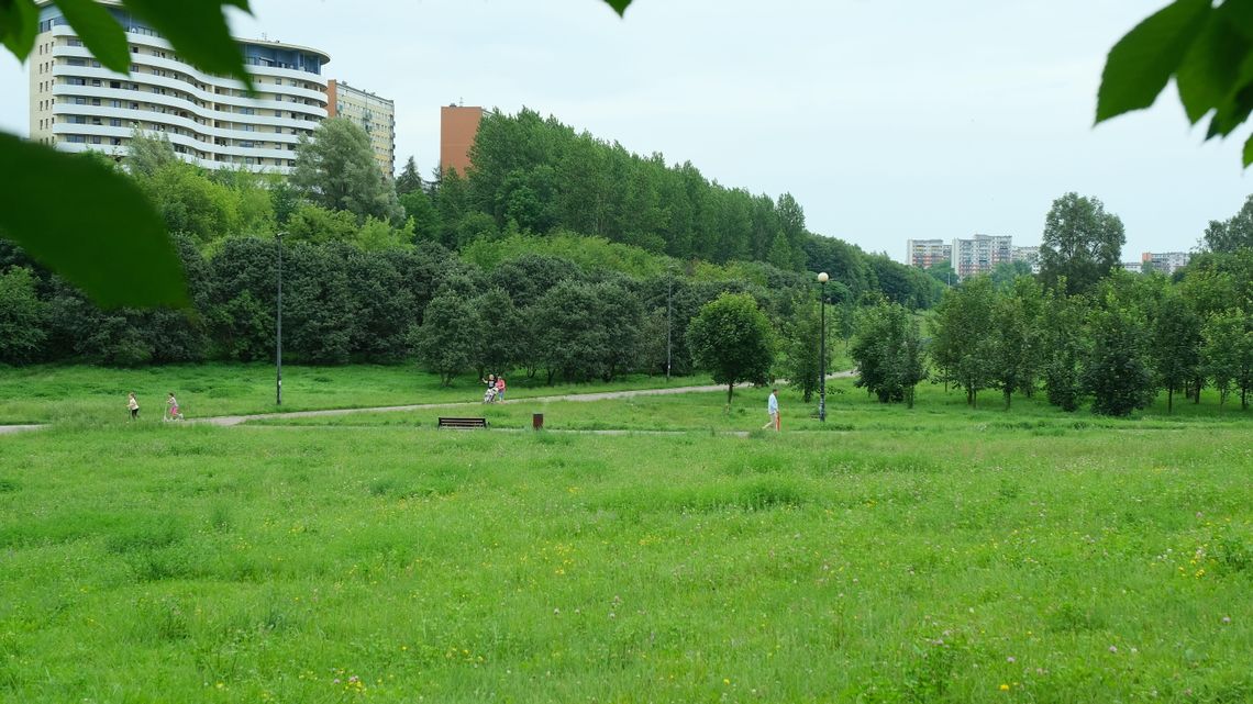 Dziki Lublin. Poznaj miejskie uroczyska